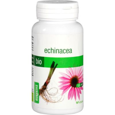 Echinacea V-caps van Purasana, 1 x 120 stk